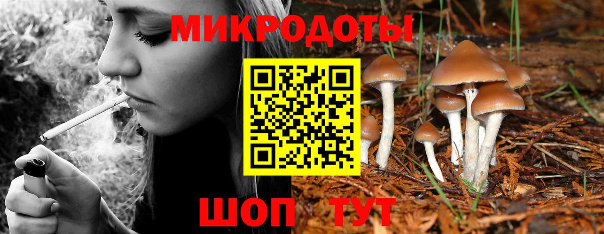 Псилоцибиновые грибы GOLDEN TEACHER Мончегорск