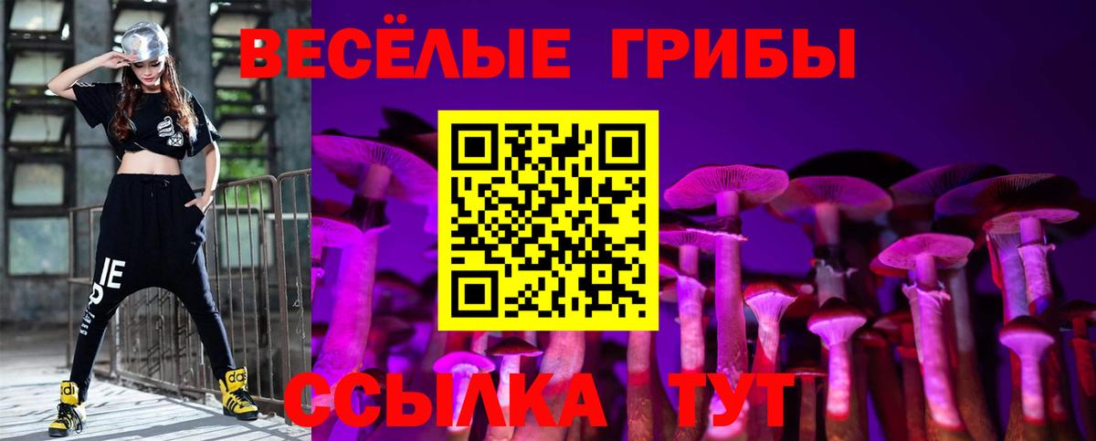 Мончегорск  Псилоцибиновые грибы мухоморы  Вход с VPN 